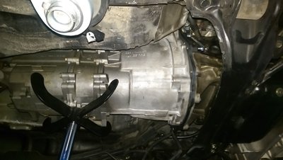 IMAG1108.jpg