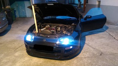 IMAG1408.jpg