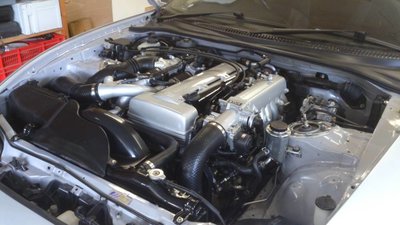 DSC_1678.jpg
