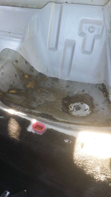 IMG-20160921-WA0051.jpeg