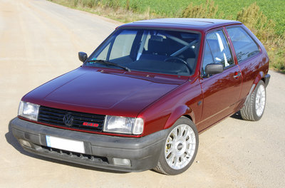 5_polo.JPG