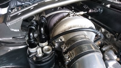 DSC_2501.JPG