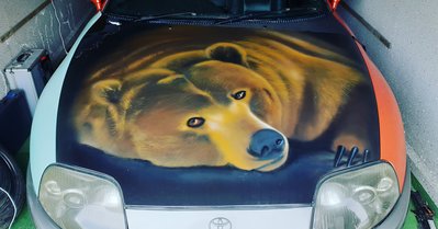 Der Bär